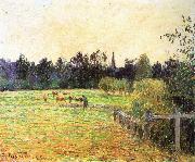 Camille Pissarro Cattle painting